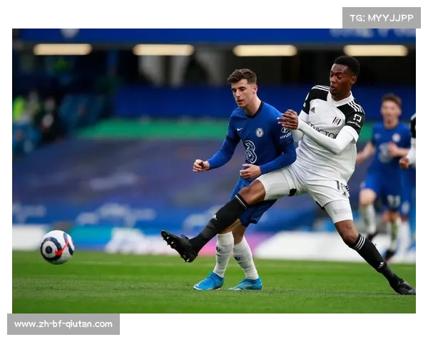 布伦特福德的英超精彩之旅,新星闪耀,魅力无限